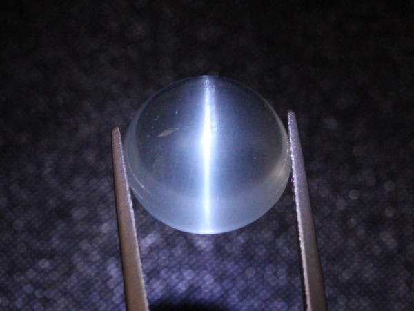 �A�N�A�}����