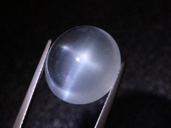 �A�N�A�}����