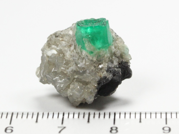 �G�������h