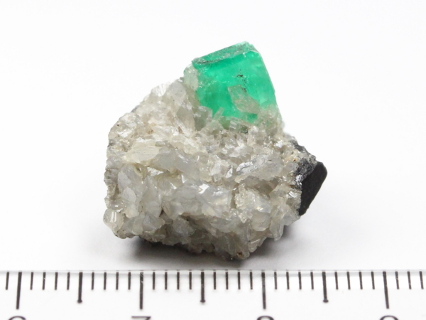 �G�������h