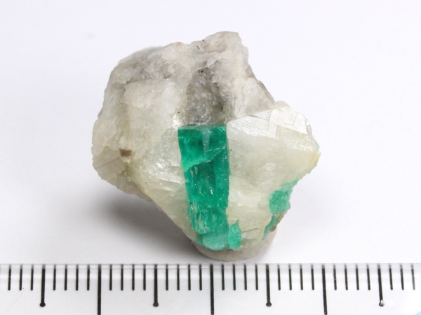 �G�������h