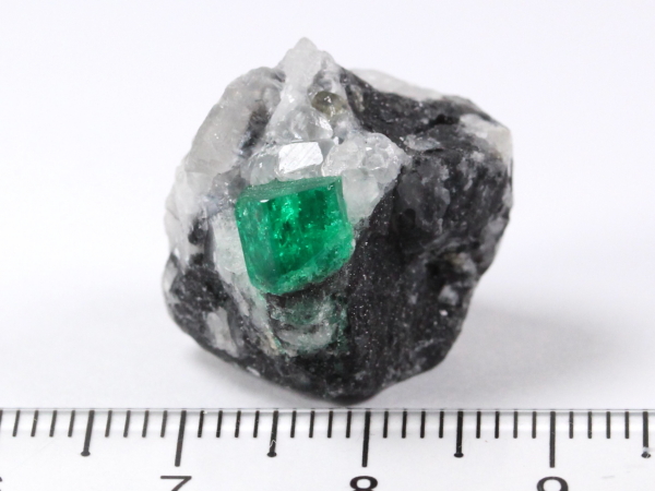 �G�������h