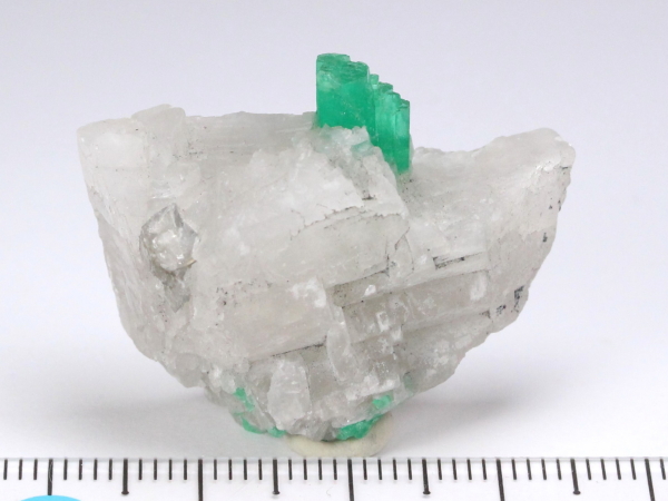 �G�������h