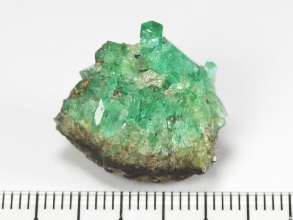 �G�������h