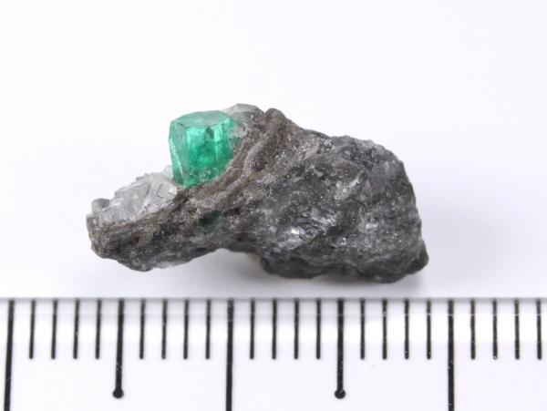 �G�������h