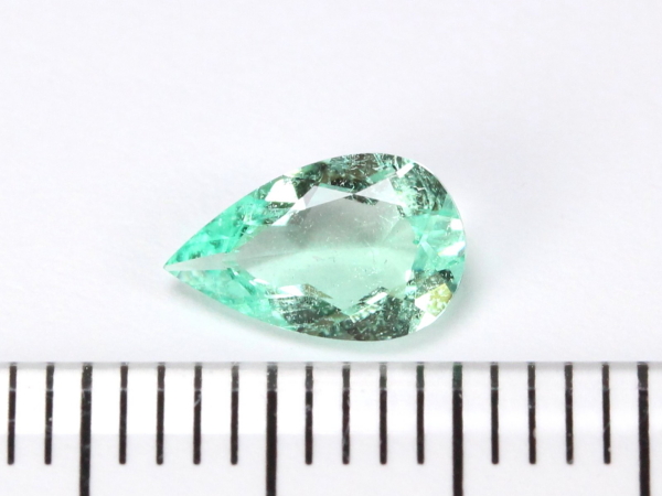 �m���I�C���G�������h