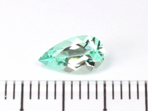 �m���I�C���G�������h