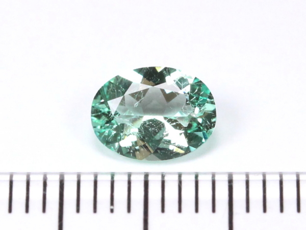 �m���I�C���G�������h