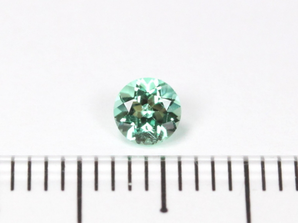 �m���I�C���G�������h