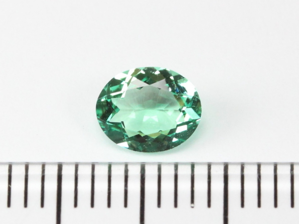 �m���I�C���G�������h