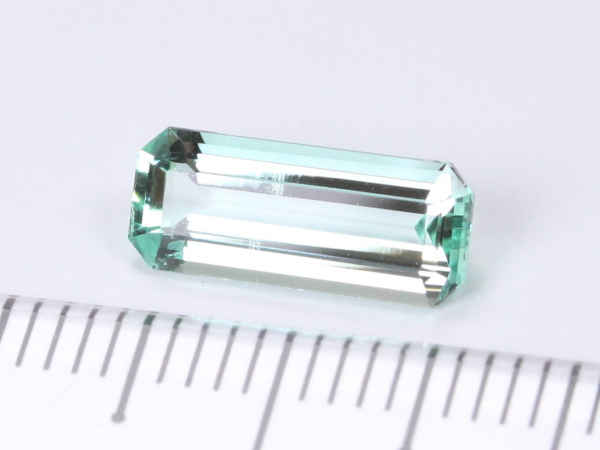 �m���I�C���G�������h