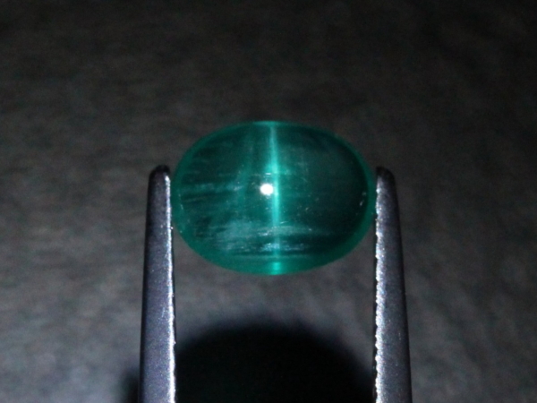 �G�������h