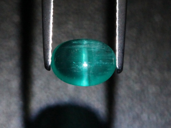 �G�������h