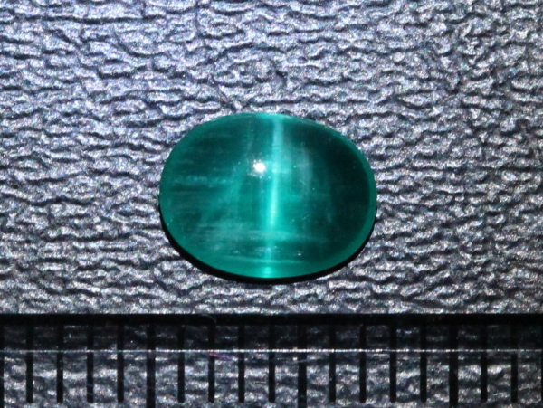 �G�������h