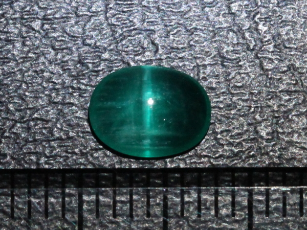 �G�������h