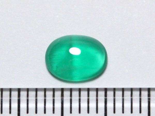 �G�������h