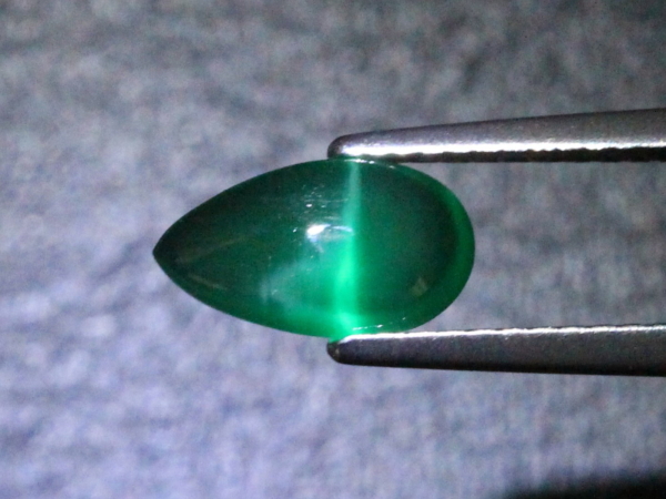 �G�������h