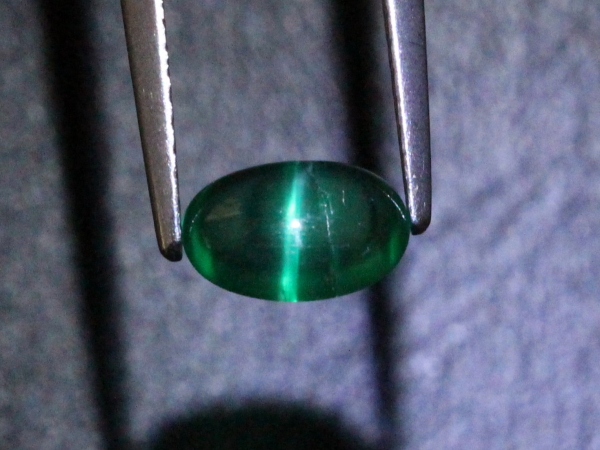 �G�������h