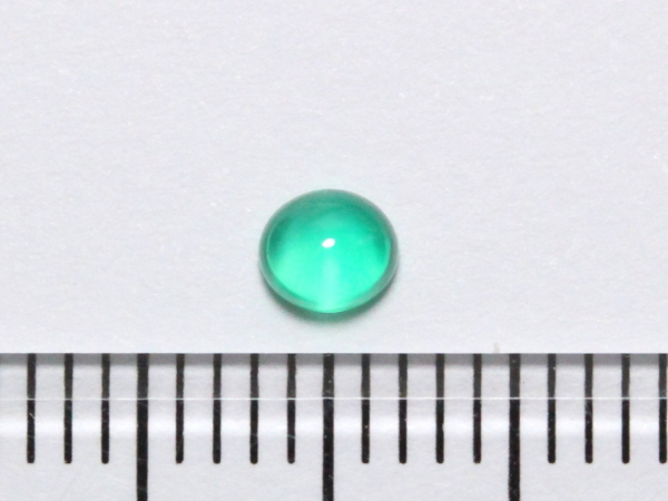 �G�������h