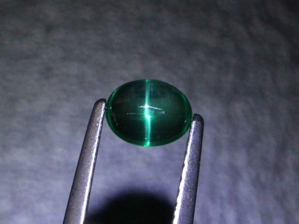 �G�������h