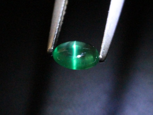 �G�������h