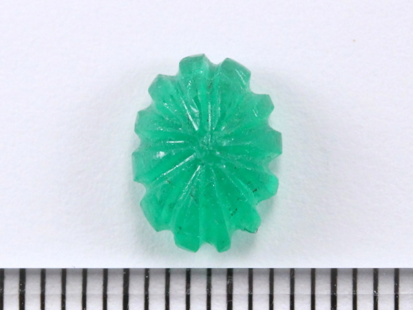 �G�������h