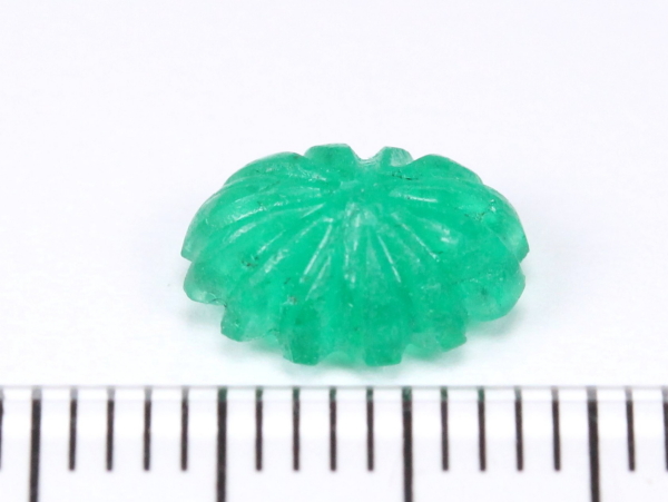 �G�������h