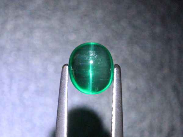 �G�������h