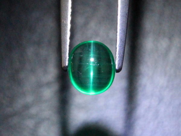 �G�������h