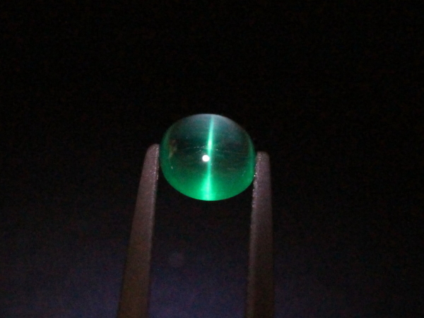 �G�������h