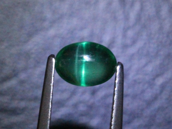 �G�������h