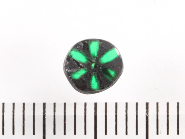 �g���s�b�`�F�G�������h