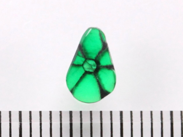 �g���s�b�`�F�G�������h