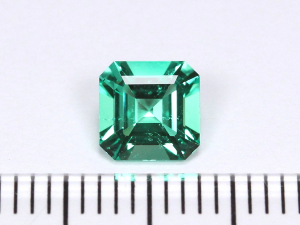 �G�������h