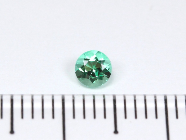 �m���I�C���G�������h