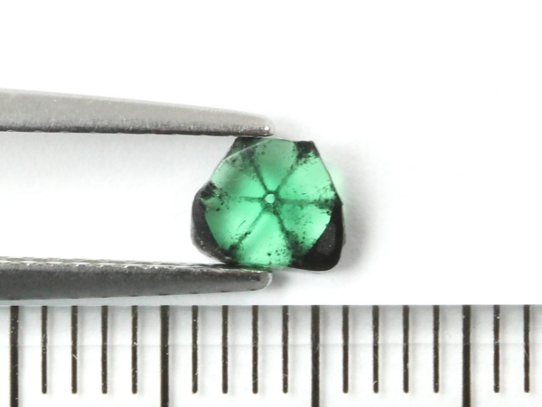 �G�������h