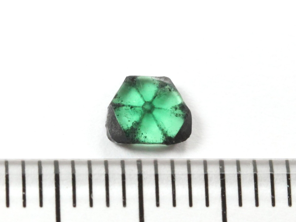 �g���s�b�`�F�G�������h