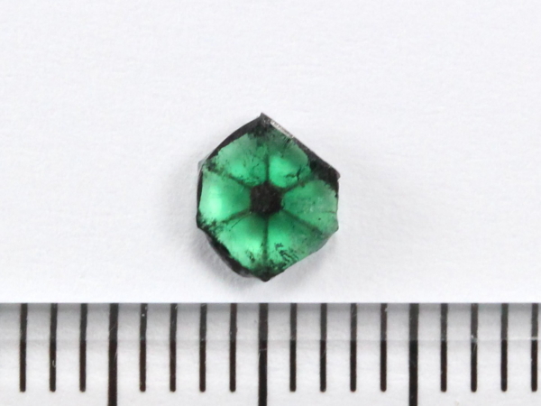 �G�������h