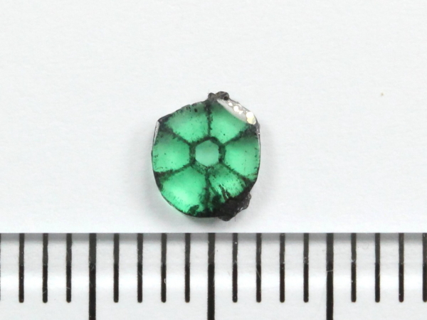 �G�������h