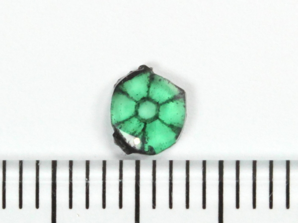 �g���s�b�`�F�G�������h