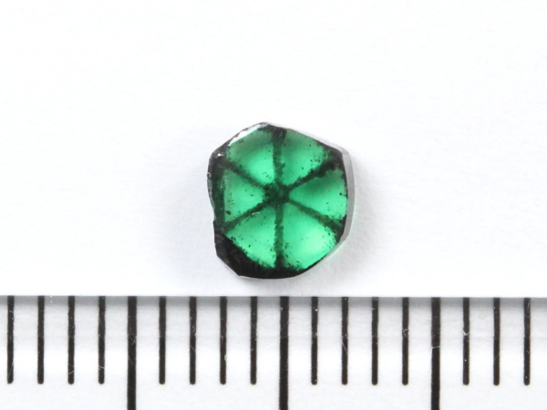 �G�������h