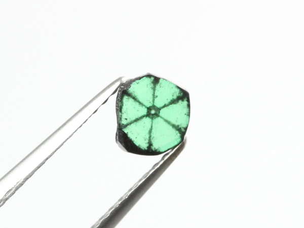 �g���s�b�`�F�G�������h