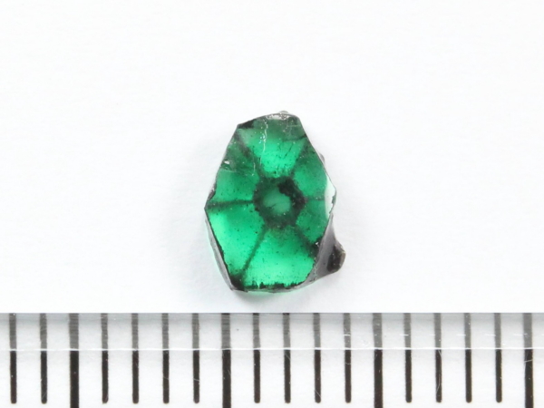 �g���s�b�`�F�G�������h