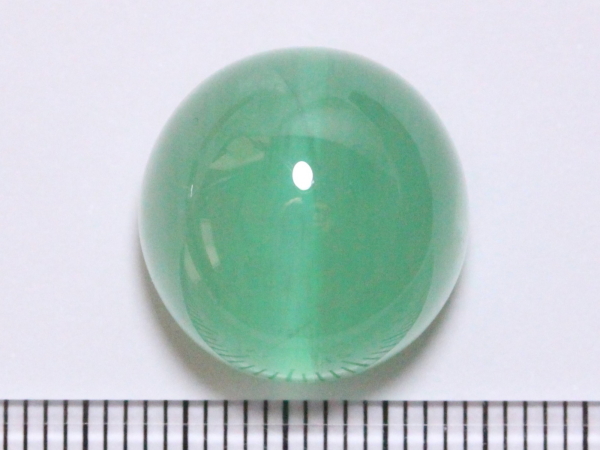 �G�������h