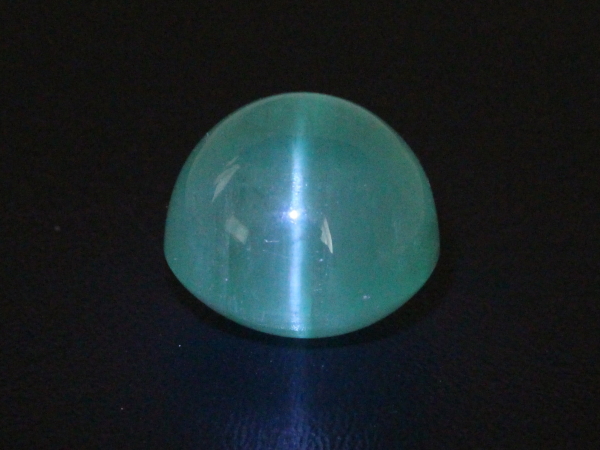 �G�������h