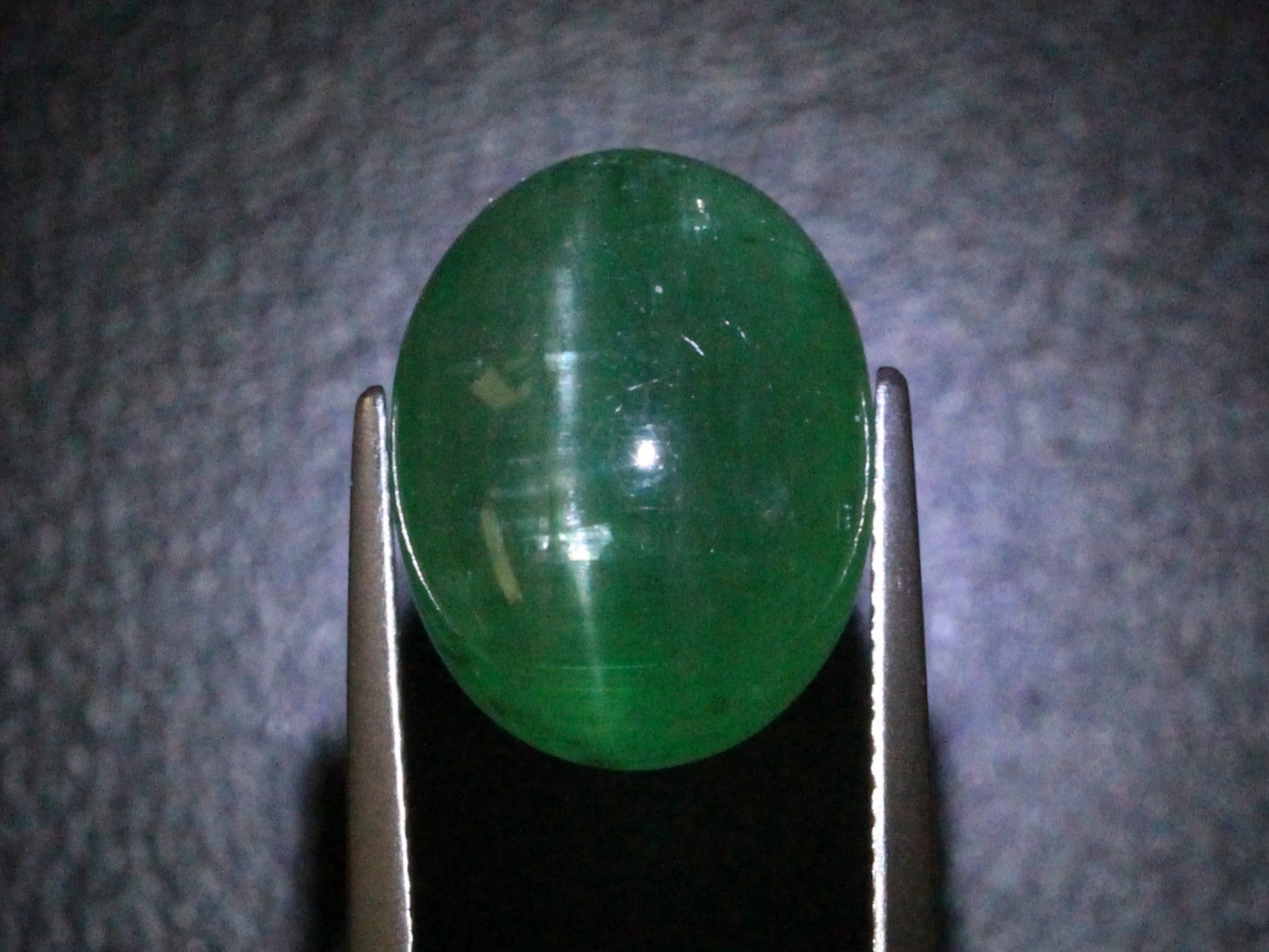 �G�������h�L���b�c�A�C