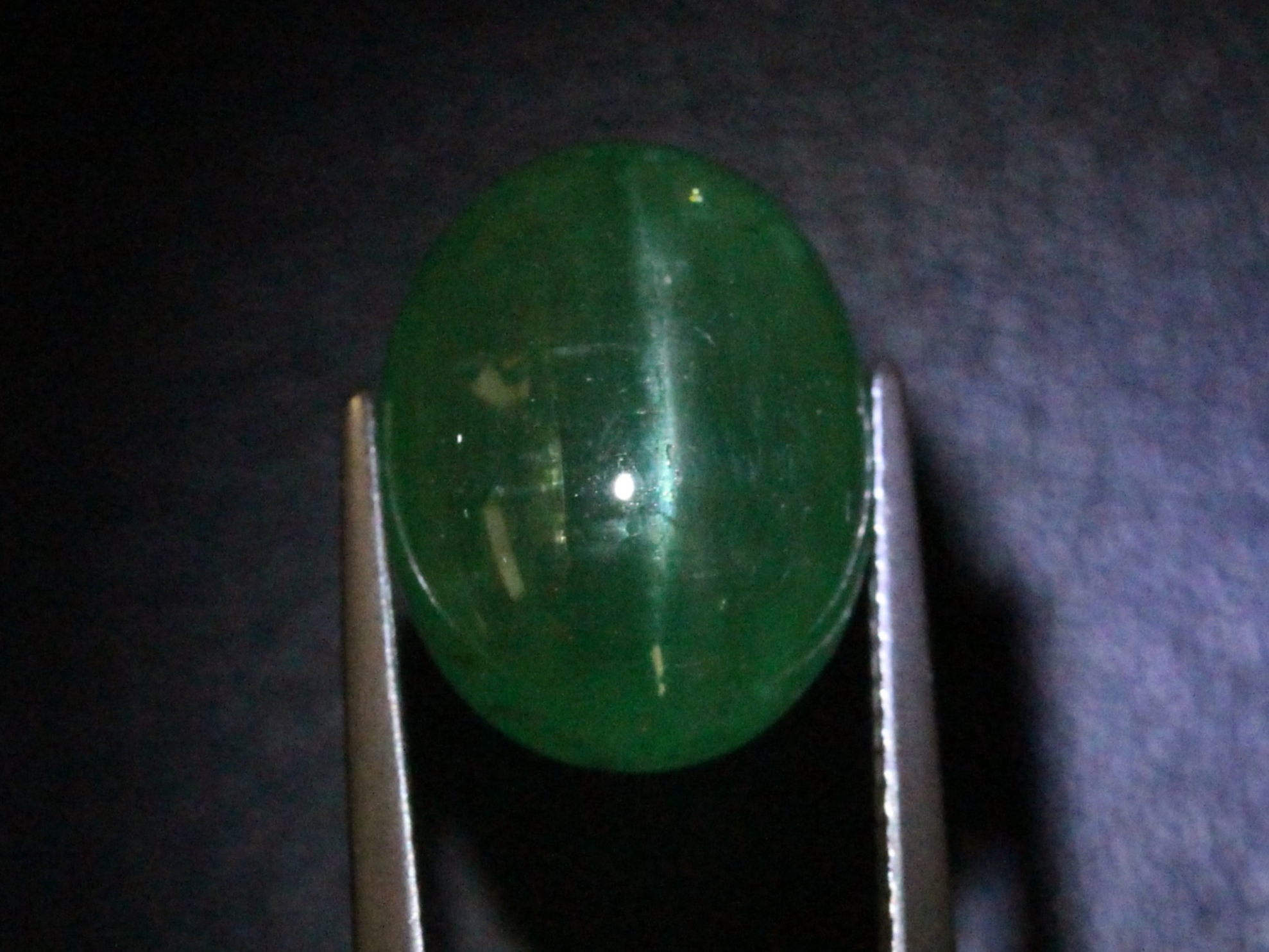 �G�������h