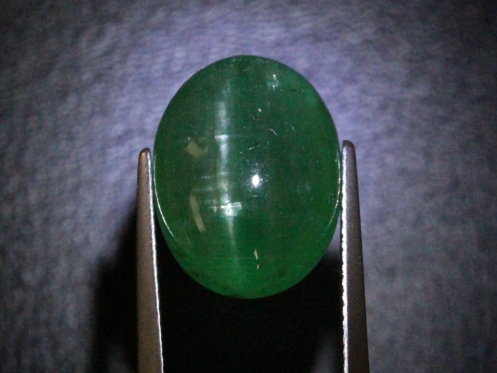 �G�������h