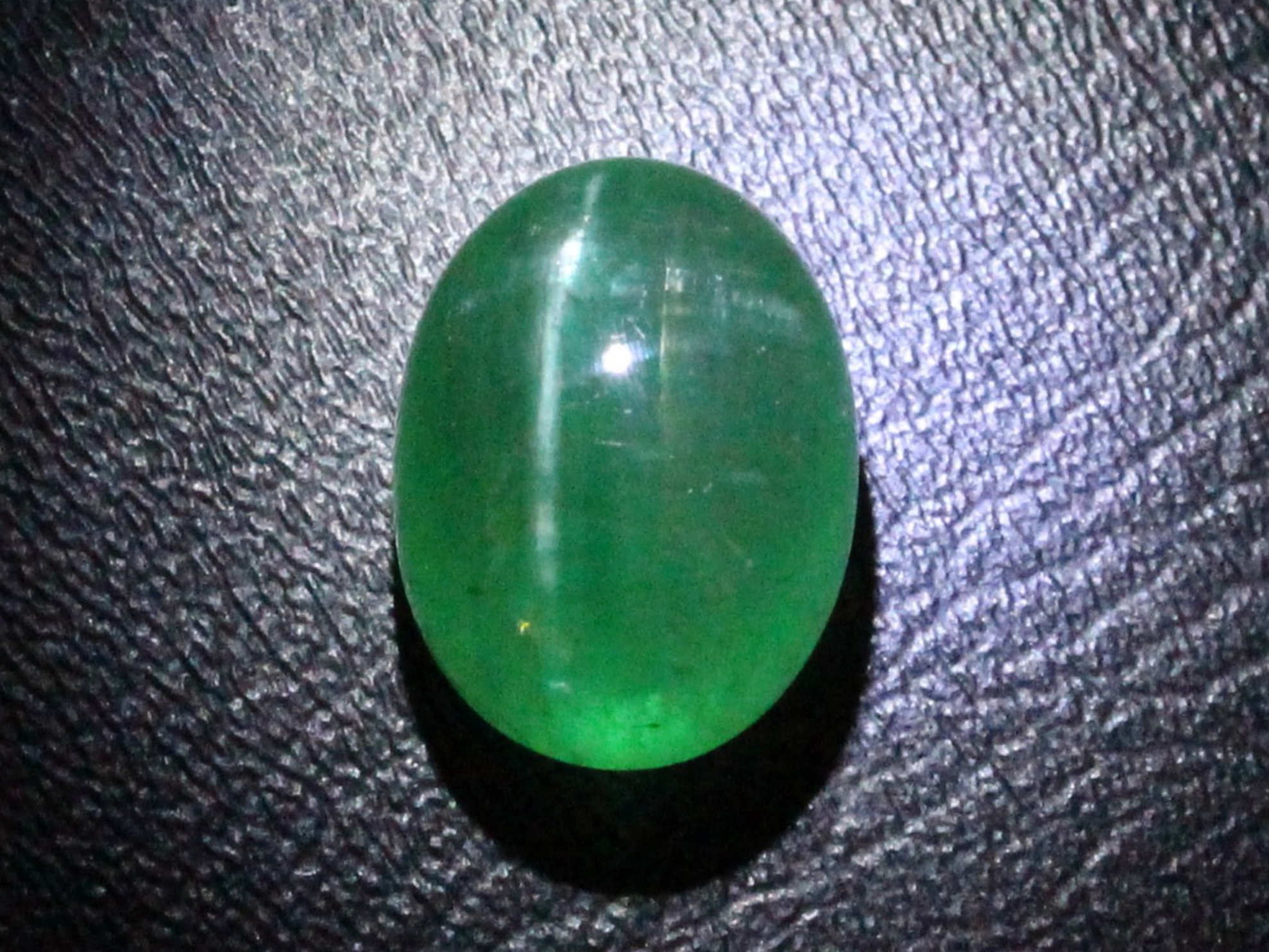 �G�������h