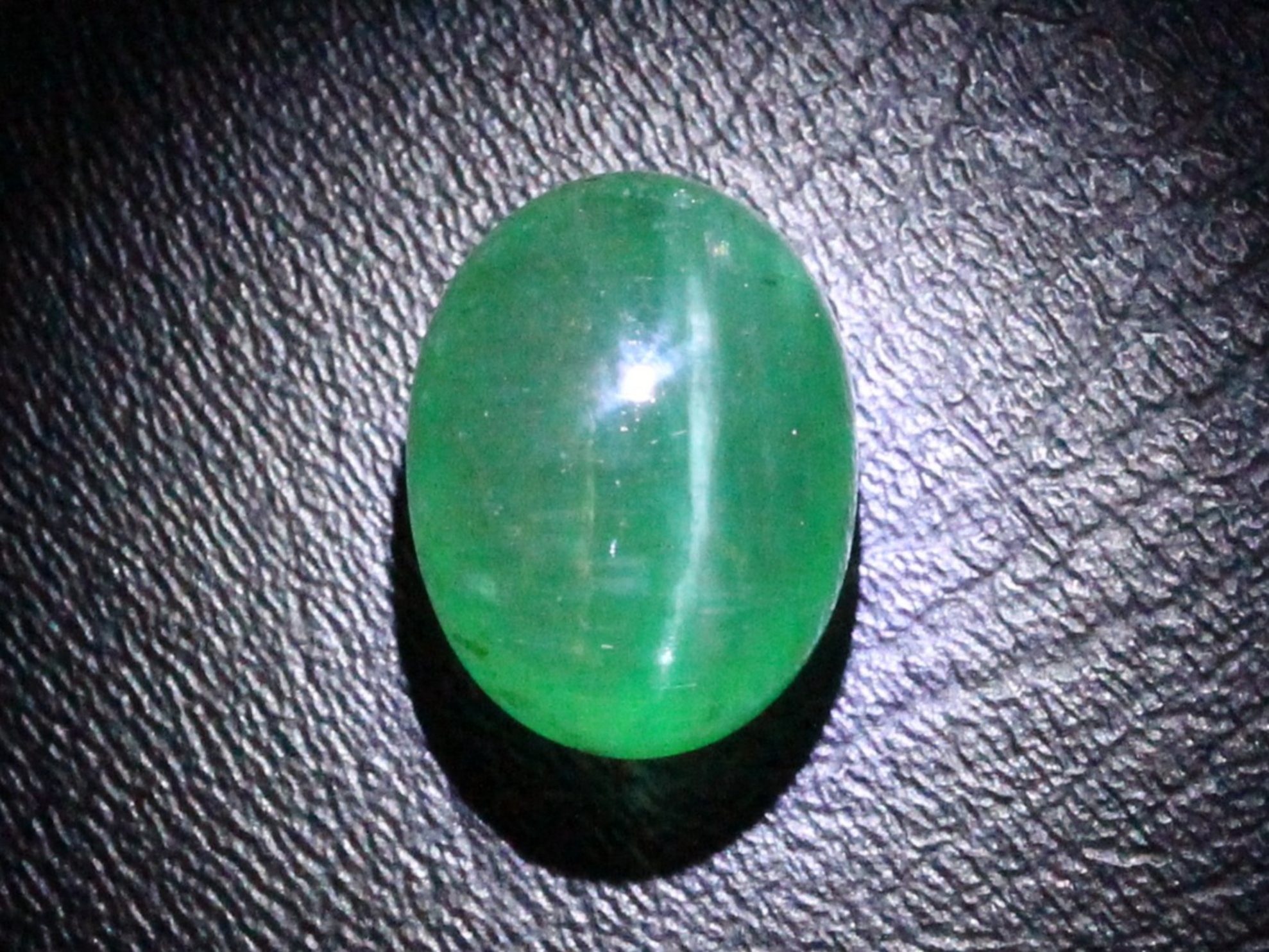 �G�������h